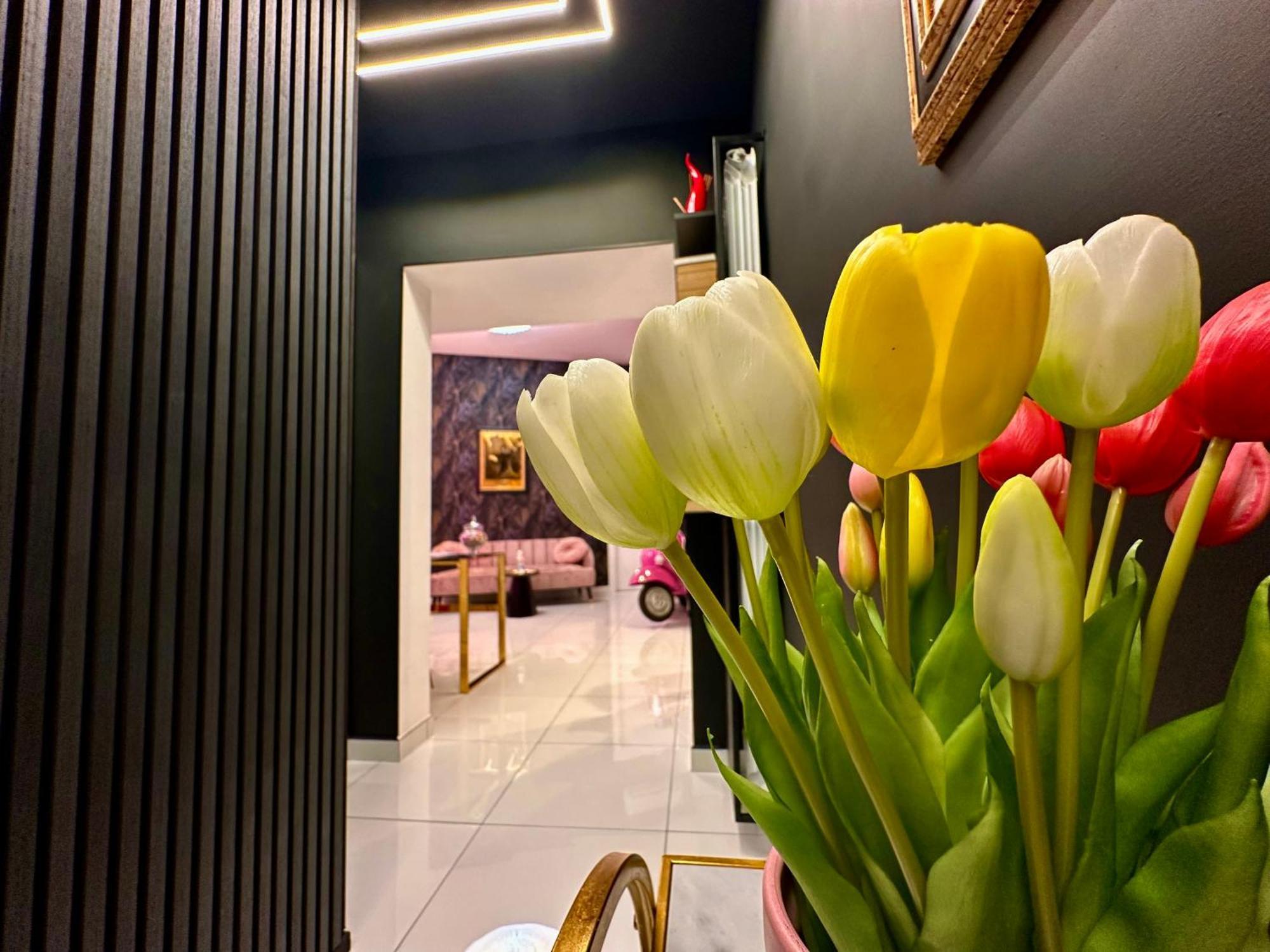 Elegance Rooms Spaccanapoli Extérieur photo